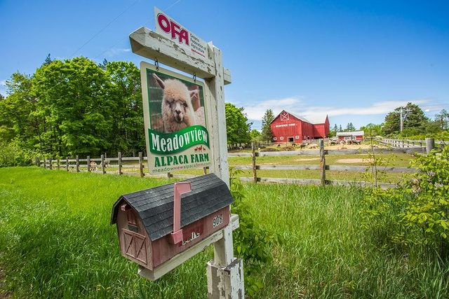 Meadowview Alpaca Farm